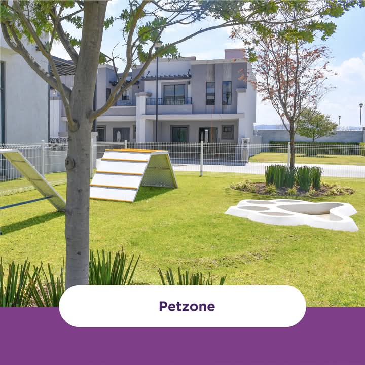 Pet Zone